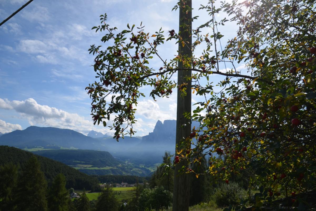 Zunerhof 10.09.2019